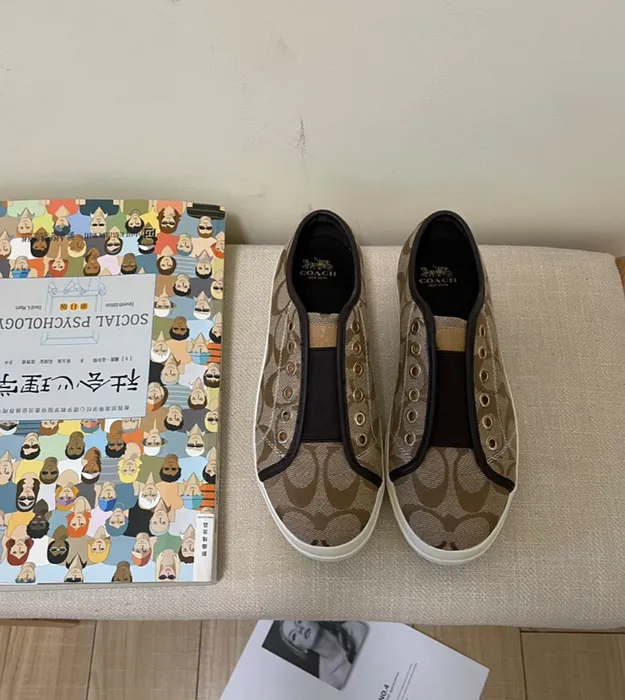 Ýokary hilli Coach kedylary